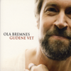 Ola Bremnes - Har Du Fyr? artwork