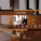 One, Two, Three, Four! / Lovely, but Lethal - dj Kolombo lyrics