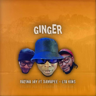 GINGER ME (feat. LTO KING & XAMOPEE) - Single