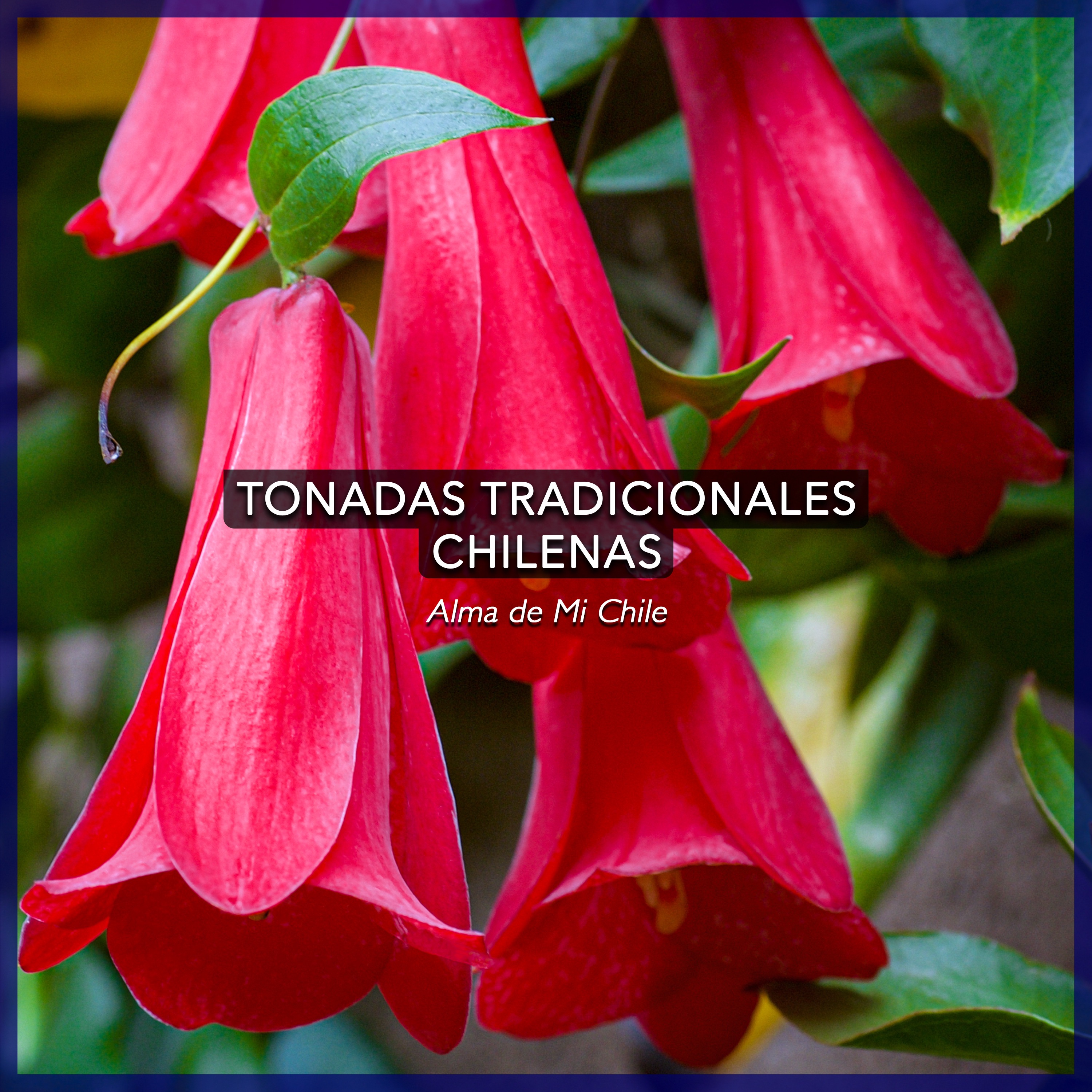 Tonadas Tradicionales Chilenas - EP