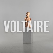 Voltaire artwork