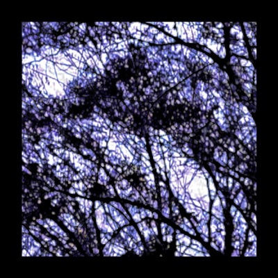 Wicked Phase - Single