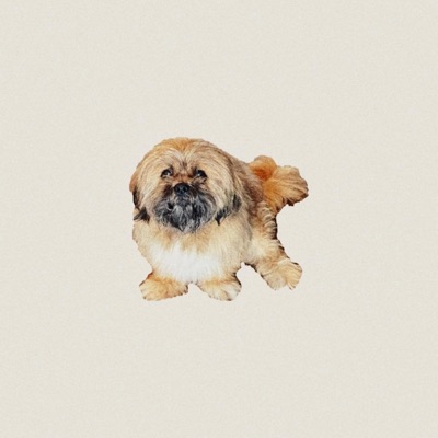 Crumbs - Single