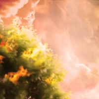 Remains - Single - Lottombk