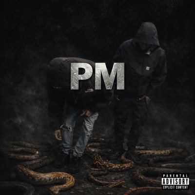 PM (feat. doonydadon) - Single
