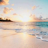 You - Single - Flaco Paco