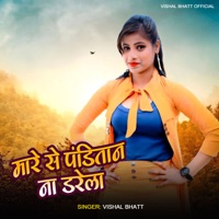 Mare Se Panditan Na Darela - Single - Vishal Bhatt