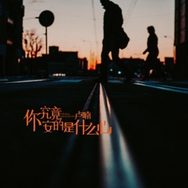 你究竟安的是什么心 卢喃