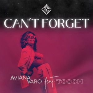 Can't Forget (feat. Tosch) - Single