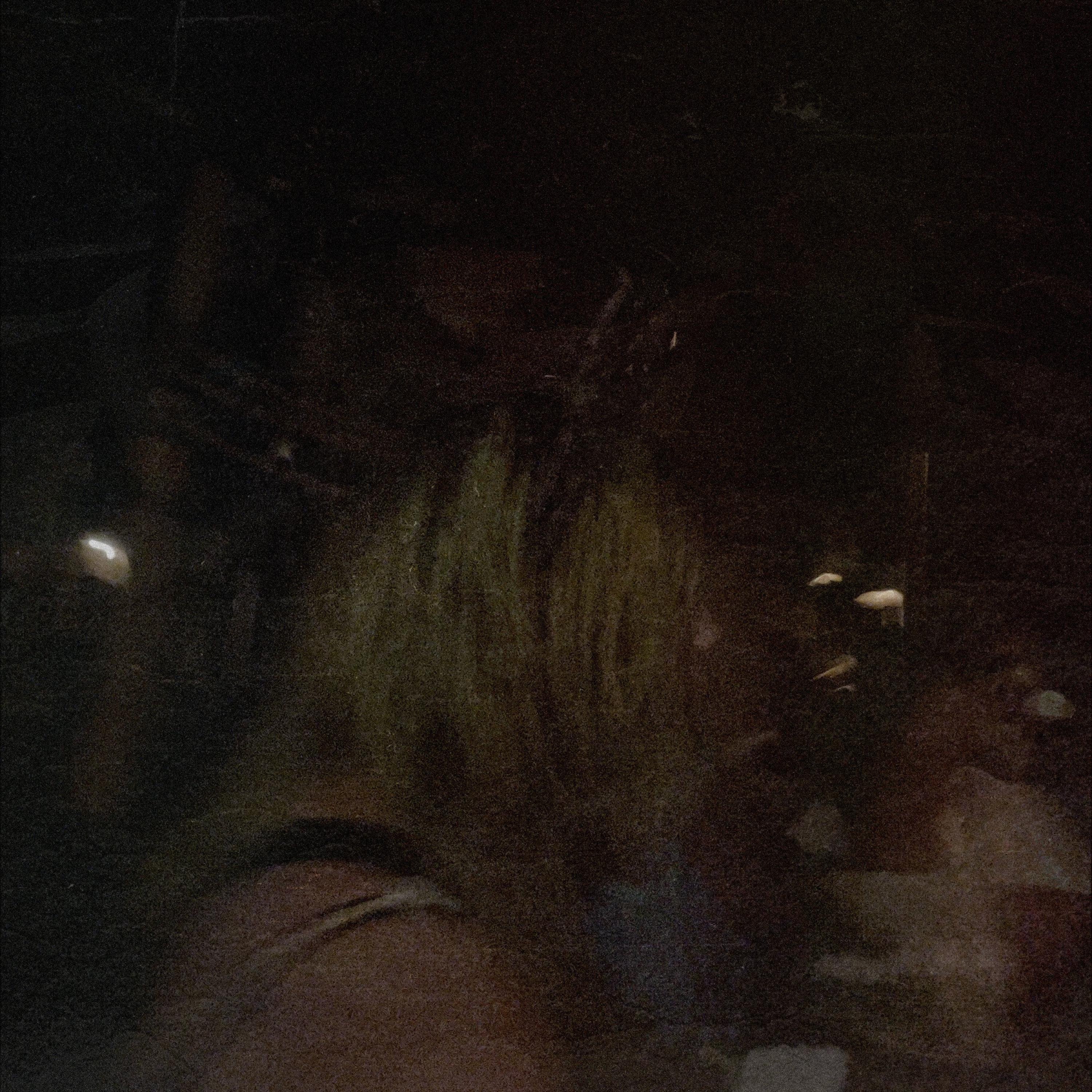 catburger!!! - Single