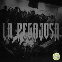 La Pegajosa Slowed (feat. Ator Untela) - Single - Sloweed