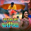 Debaa Toor Debaa Ka Palangiya Toor Debaa Ka Palangiya - Single