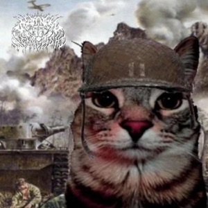 i put my cat on the mic (feat. Xentenshi 天使)