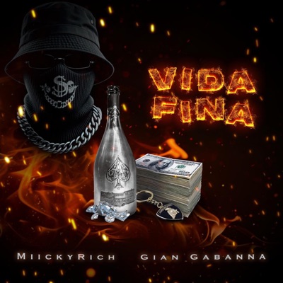 Vida fina (feat. Gian Gabanna) - Single