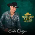 Merardo Ariza