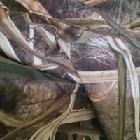 Soulja Down (2001) (feat. Falley & Konvict) - Single - 84 KEYS