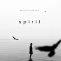 Spirit 