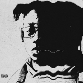 Wouldn't Leave Ym1300