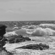 floods (outro) - Felix Bosques Harima