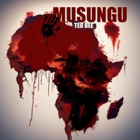 Musungu - Single - Ted Bee