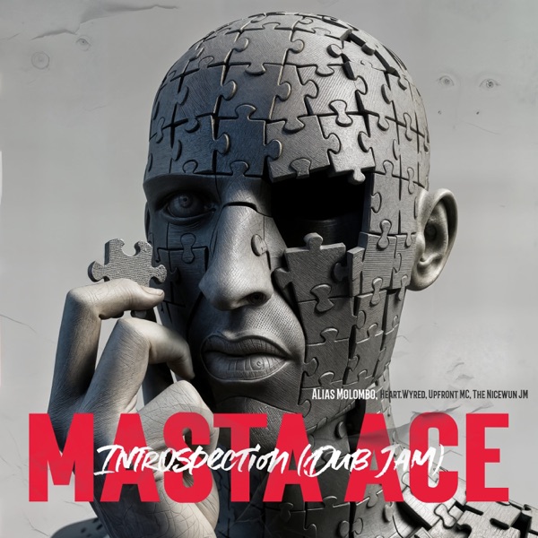 Introspection (Dub Jam) [feat. Upfront MC & The Nicewun JM] - EP