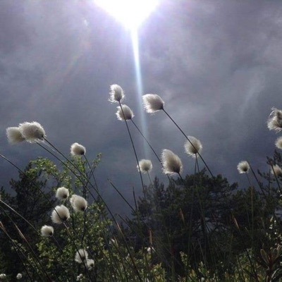 Rehén (feat. Johnson) - Single