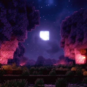 lovely nights - Single