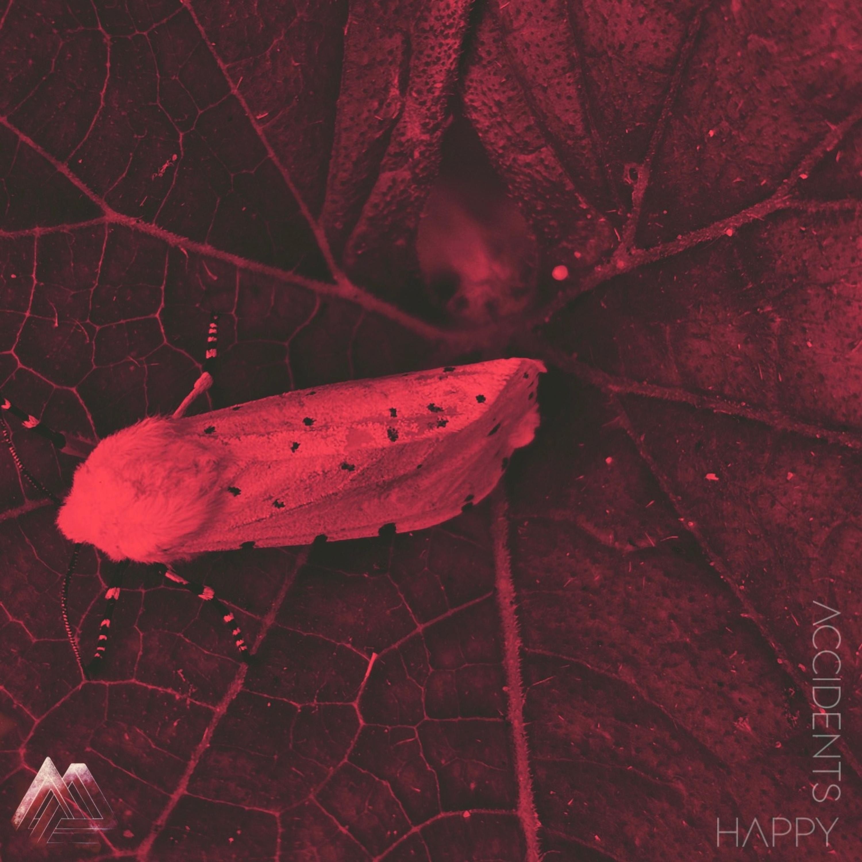 Happy Accidents - Single