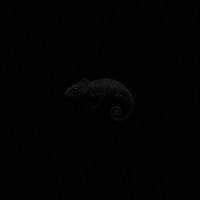 DIFFERENT - Danny Farro