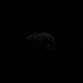 DIFFERENT Danny Farro