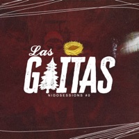 LAS GAITAS (feat. AleY2K, KEILU, RHIU Z & Loretty) - Single - El Nido