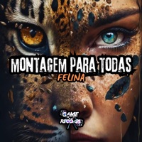 Montagem Para Todas Felina - Single - DJ DUZIN DA ZO, MC ZS & Game Records