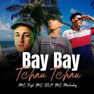 Bay Bay Tchau Tchau (feat. Mc Pzk)