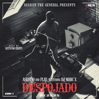 DESPOJADO (feat. Flay_gali & DJ Marc X) - Single