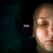 Promokla song art