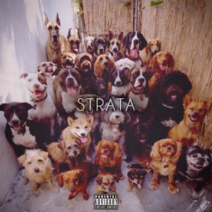 Strata (feat. Jylan Pharious & Robert Miller)