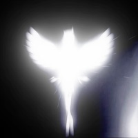 Lucid Eyes - EP - REXOLUXION