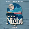 Because The Night