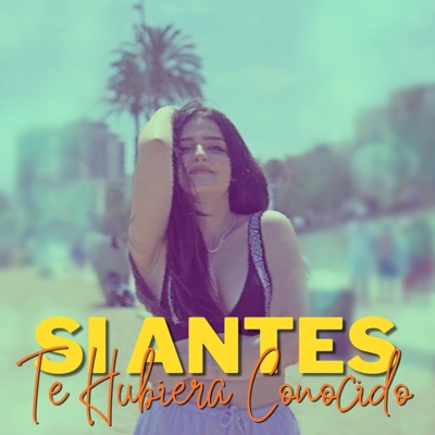 Si Antes Te Hubiera Conocido - Single