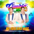 No Vuelvas Mas