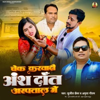 Chek Karvadi Ansh Dat Asapatal Me - Single - Sujit Chhaila