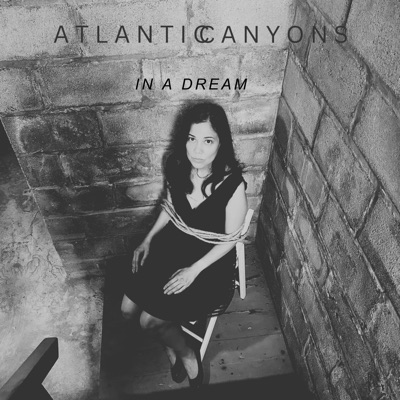 In A Dream (feat. Pocket Dial, Striped McCoy & LOHM) - Single