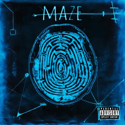 MAZE (feat. PICA) - Single
