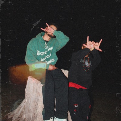 R We Trippin ? (Models & Bottles) (feat. Øs.VøN) - Single