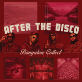 After The Disco