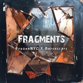 Fragments BARSnSCARS