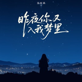 昨夜你又入我梦里 (DJ彭锐版) Yuhan Jiang