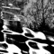 Silver008 artwork
