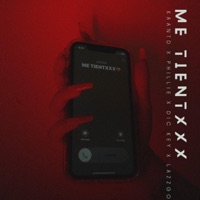 ME TIENTXXX (feat. Lazzgo, PHILLIE & DICKEY) - Single - KAANT D