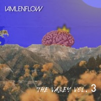 The VALLEY, Vol. 3 - EP - Iamlenflow